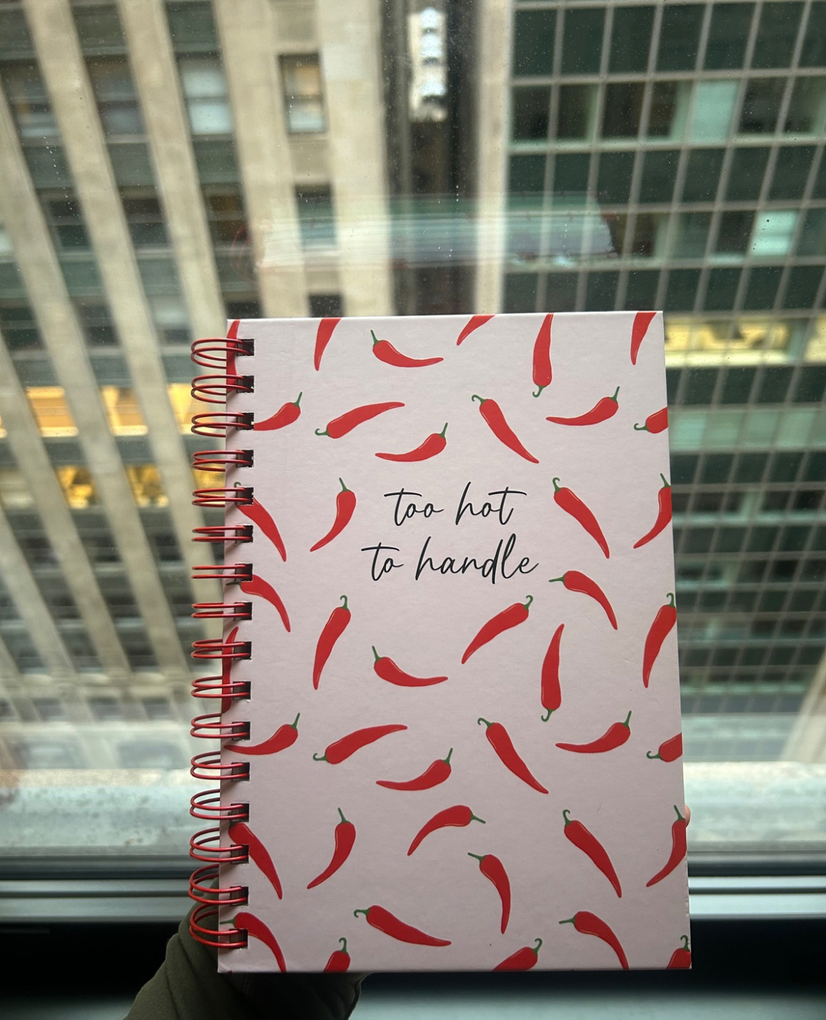 “Too hot to handle” Notebook